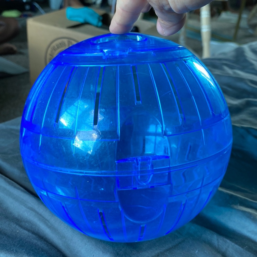 Hamster ball